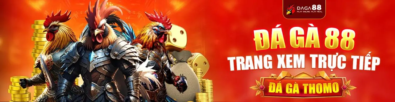Đá Gà Trực Tuyến Betvisa88